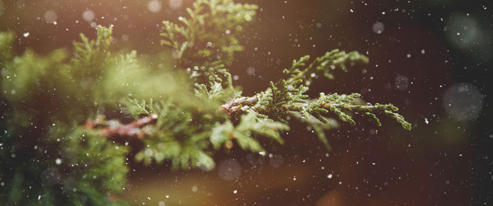 acupuncture and the season of winter